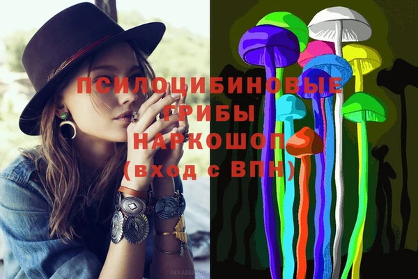 spice Абаза