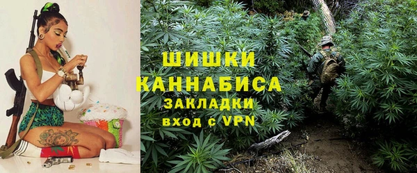 тгк Нея