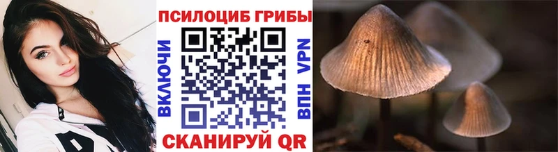 нарко площадка как зайти  Новотроицк  Галлюциногенные грибы мицелий 