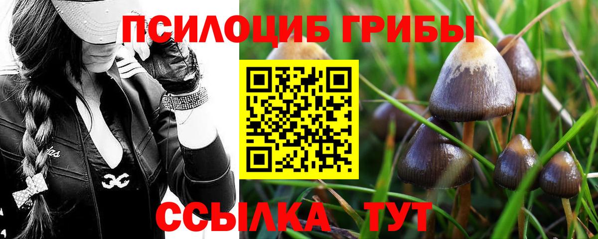 Меф кристаллы  Новотроицк  КОКАИН  Меф  ГАШ  Alpha PVP СОЛЬ   Вход с VPN  Бошки Шишки 