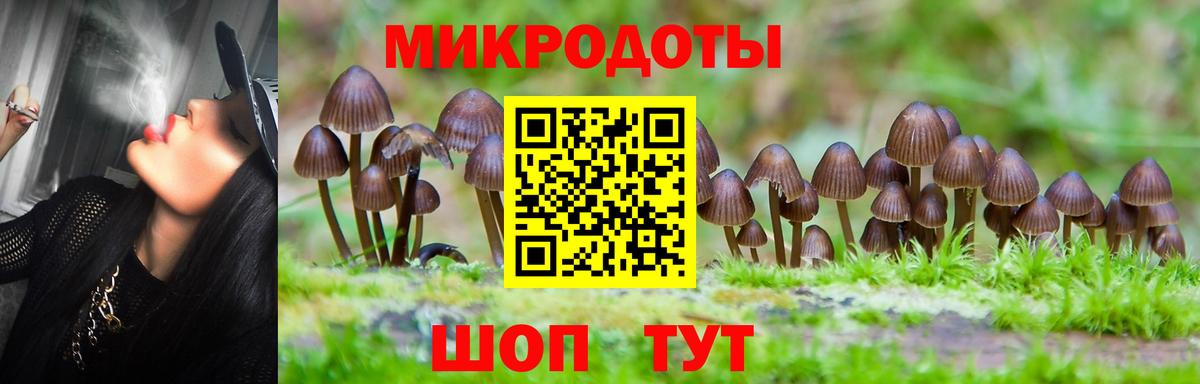 Псилоцибиновые грибы Cubensis  Галлюциногенные грибы Psilocybe  Новотроицк  Вход с VPN 